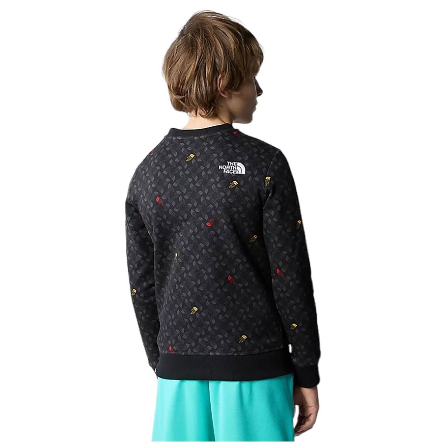 B DREW PEAK LIGHT CREW PRINT The North Face | NF0A8870U8I